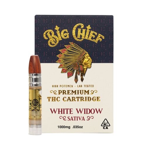 Big Chief Disposable