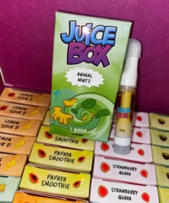 Juice Box 1G Disposable