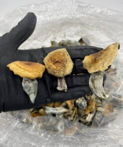 Hillbilly Shroom Strain