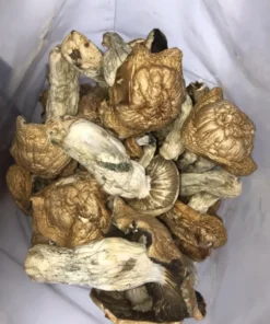 Makilla Gorilla mushroom online