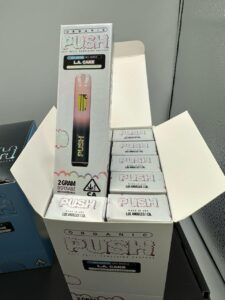 PUSH DISPOSABLE 2 GRAM