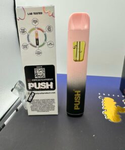 PUSH DISPOSABLE 2 GRAM
